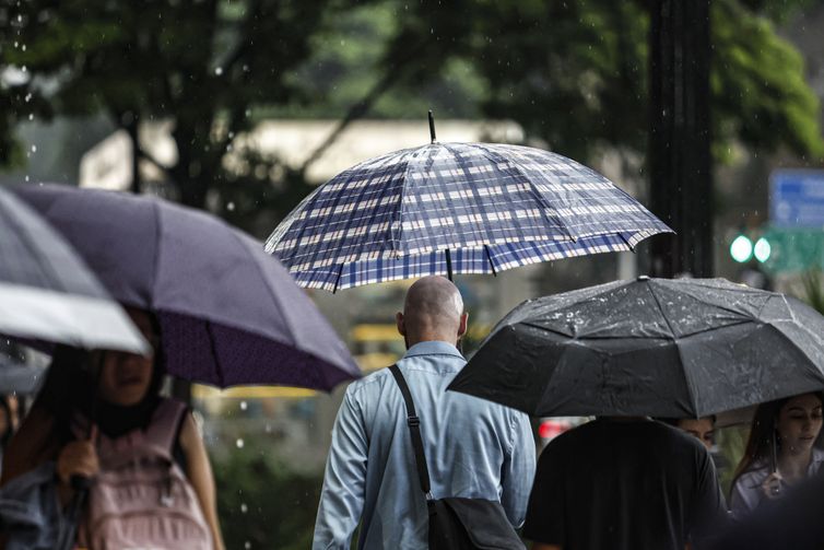 SP: Chuva, ventos fortes e queda de árvores deixam 900 mil sem energia
