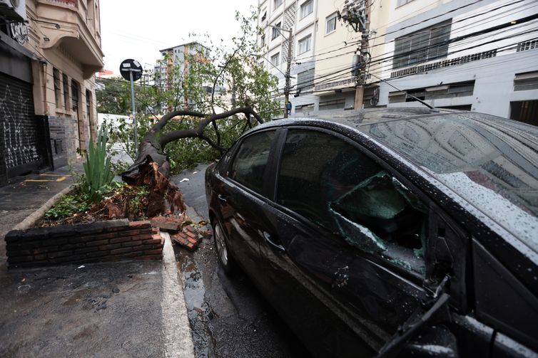 Semana começa com possibilidade de chuvas fortes no Sul e Sudeste